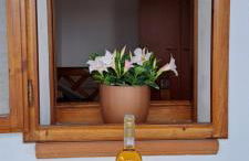 Domo Sarda - Foto 56