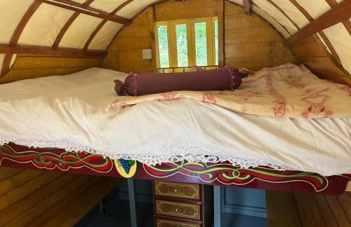 2 Guests - Pet Friendly - Traditional Gypsy Vardo - Foto 24