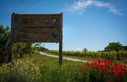 Agriturismo L'isola - Foto 52