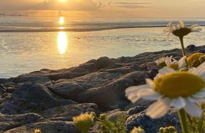 Ferienwohnung Wiesenzauber - Ruhige Lage am Stadtrand von Leer & Nähe Papenburg - Photo 32