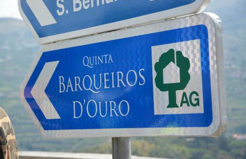 Quinta Barqueiros D'Ouro - Casa da Música - Photo 72