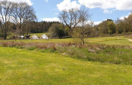 Cherry Pip - Foto 11