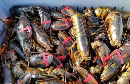 Bright Post & Beam Retreat with Fire Pit & Game Room Near Acadia | Sorrento, Maine - Foto 28