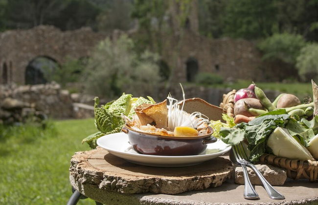 La Cerreta - Terme di Sassetta - Photo 33