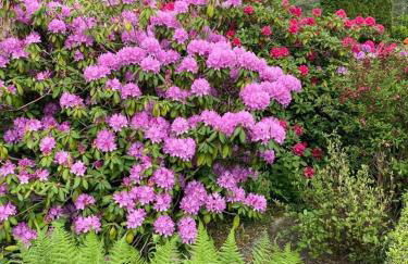 Ferienwohnung Schultze - Foto 19