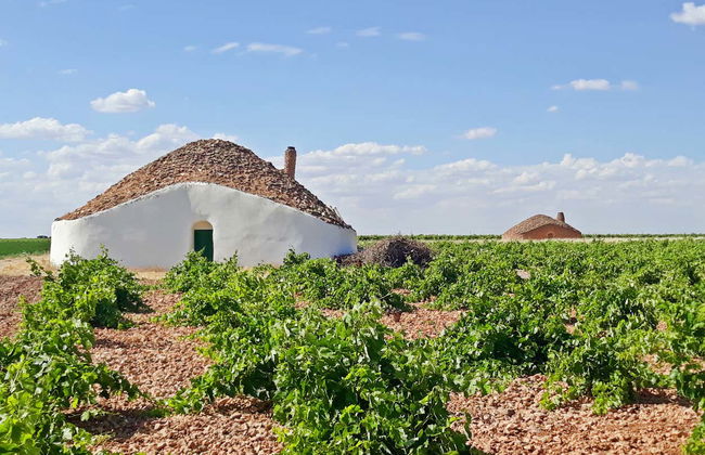 Visite guidée dans Tomelloso - Photo 5