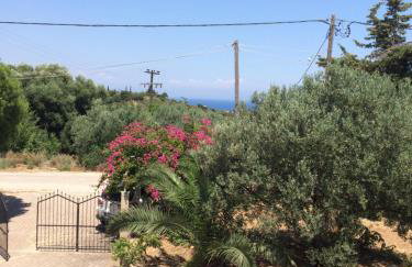 Koukounaries Studios - Foto 16