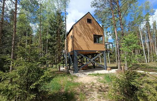 Zdalnie z Lasu - Siedlisko w Puszczy Białowieskiej - Foto 27