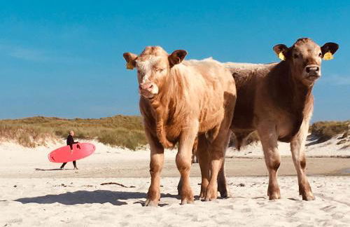 Kirkapol Pod Sleeps 2 with Ocean Views - Foto 18