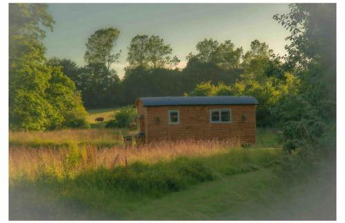 Mountbatten Shepherds hut & Buckhurst Shepherds hut - Foto 79