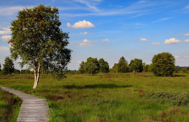 Apartment in Ondenval Near Malmedy - Photo 22