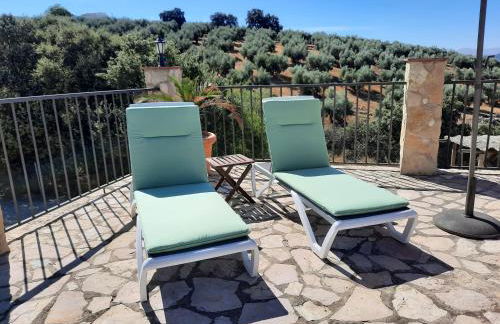 Hacienda la buena vida B&B en appartementen casita almendas - Foto 37