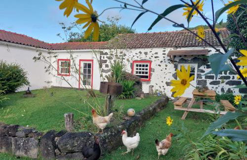 Casa Farrobo - Foto 2