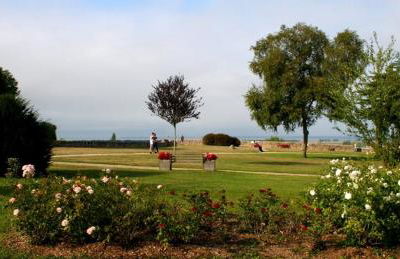 Rêve du Revert - Foto 14