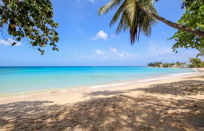 Palm Grove by Bluescape - Foto 44