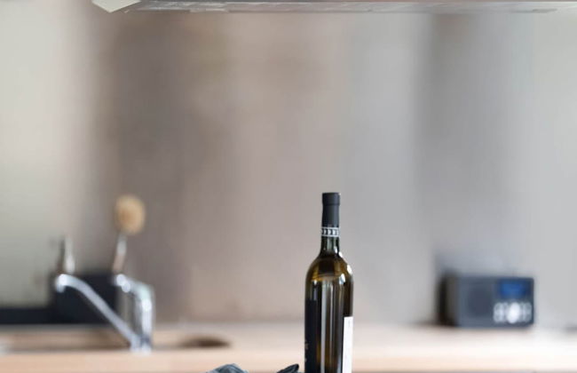 Idyllic Holiday Home in Ooltgensplaat With Private Terrace - Photo 25