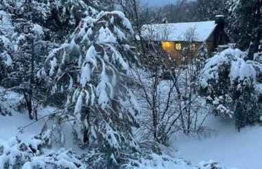 Sprocket Hollow Treetop A-Frame Log Cabin - Foto 44