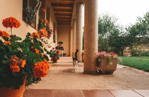 Casa de Campo La Solana - Foto 6