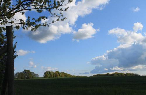 Altes Waschhaus Krakvitz - Foto 13