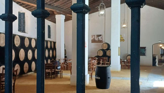 Visita às vinícolas Álvaro Domecq - Foto 4