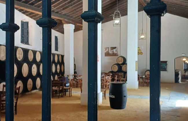 Visita a las Bodegas Álvaro Domecq - Foto 10