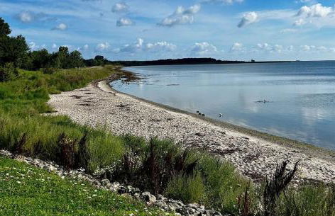 Ferienwohnung Smukke Bleibe - Foto 27