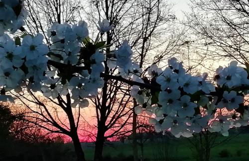 Repos et détente au cœur des richesses du Poitou - Foto 18