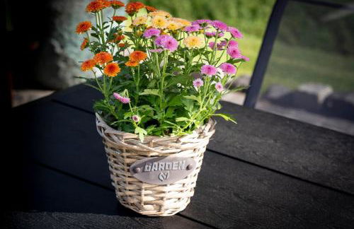 Fewo am Wingertsberg Glees Laacher See - Foto 18