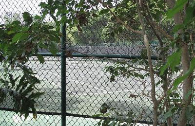 Resort Style In Aventura Florida - Foto 16