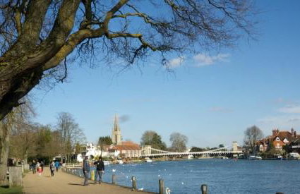 Higginson House - Photo 24