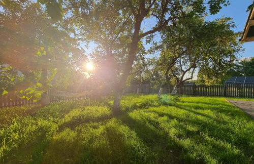 W Małym Sadzie - Foto 27