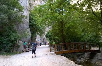 Apartments Merion - Foto 23