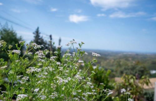 Casa da Colina - Foto 59