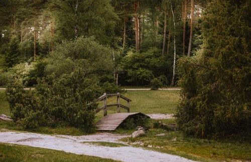 Schönstes kleines Ferienhaus in der Lü-Heide - Foto 38