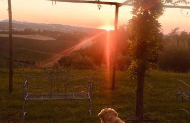 La Colombara - Fra i colli a 5 minuti dall'autodromo - Foto 40