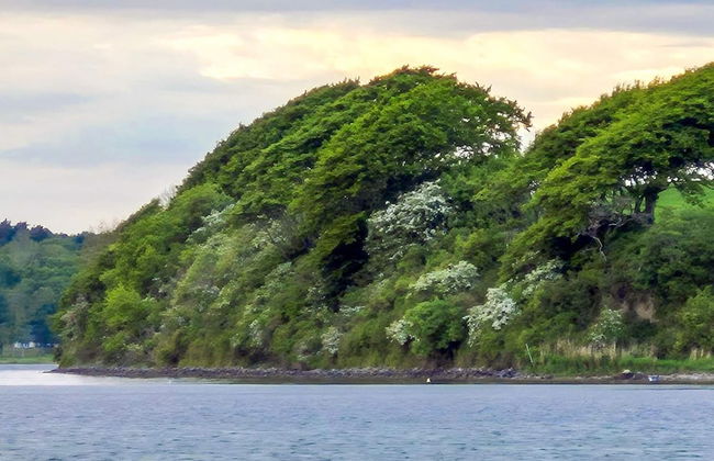 4 Person Holiday Home in Odder - Foto 42