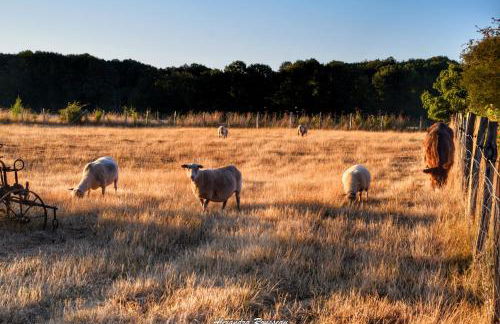 Manoir du Bois Joly - Cabanes de Berger - Foto 20