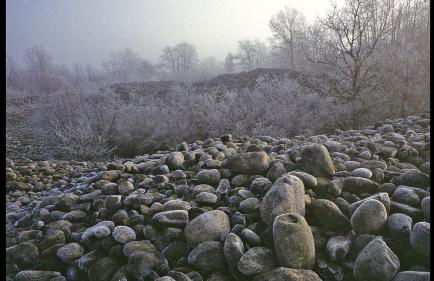 A CASA DI SISSI - Foto 48