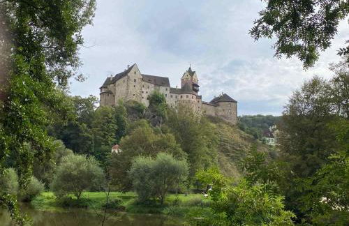 Ferienapartments Försterei Eibenstock - Foto 44