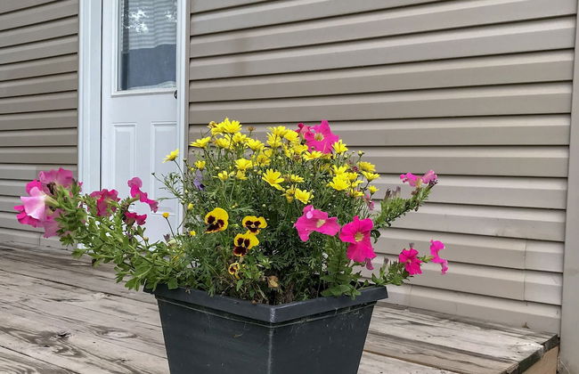 Hollys Resort - Foto 20