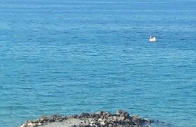 white house by the sea - Photo 39