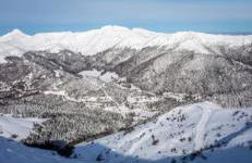 Chez Louis - Foto 26