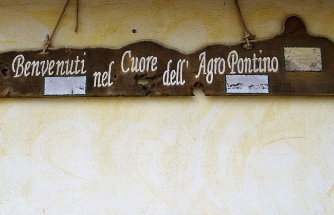 Agriturismo La Lestra - Foto 22