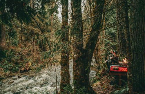 Blissful Solitude Cottage - Foto 33