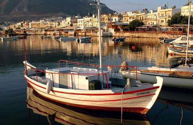 Sergiani Garden - Photo 62