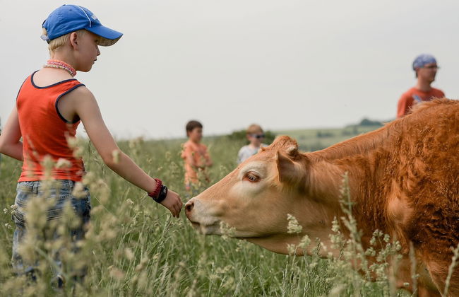 Nengshof - Haus Ehrenpreis - Foto 18