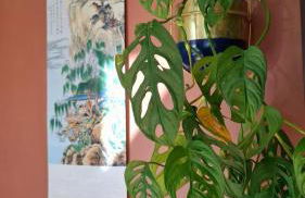 Beautiful home with garden great location - Foto 28