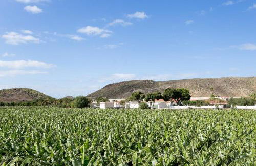 Caserío de Guaza - Foto 17