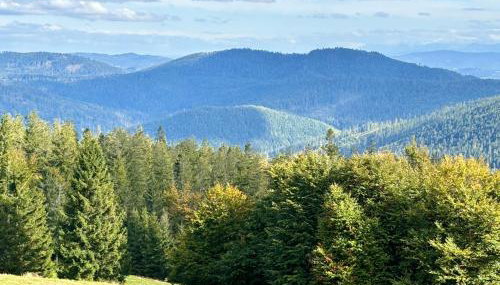 Osada Foltynówka - Foto 3