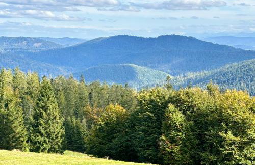 Osada Foltynówka - Foto 3